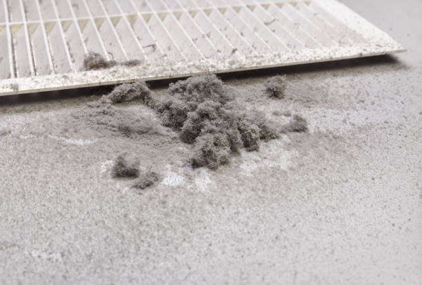 Best Emergency Air Duct Cleaning  in Honokaa, HI