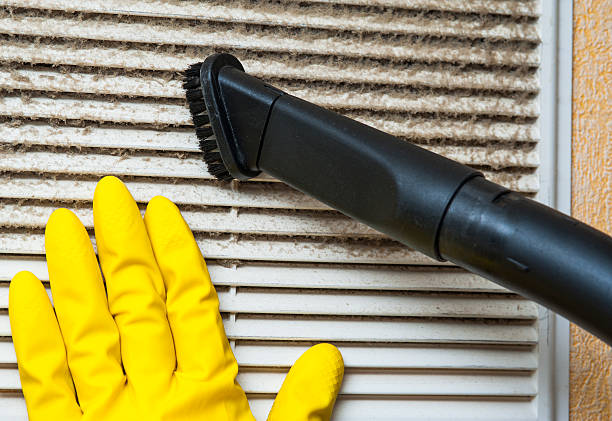 Best Best Air Duct Cleaning Company  in Honokaa, HI